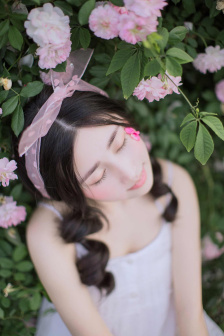 猫惑小说